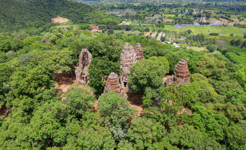 High angle view of trees on landscape