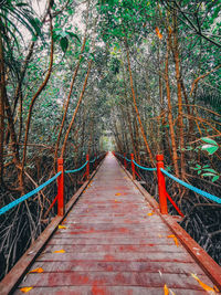 Narrow footbridge along trees in forest