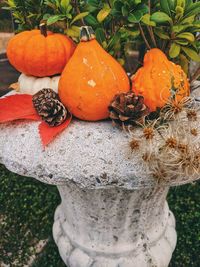 Close-up of pumpkins in autumn