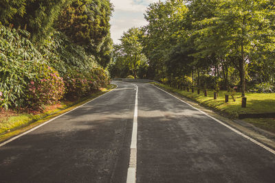 Empty road along trees