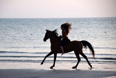 Man riding horse on beach against sea