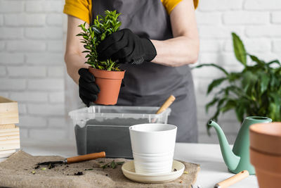 Midsection of woman holding potted plant