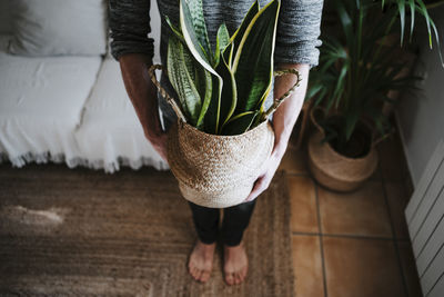 Low section of woman standing on potted plant