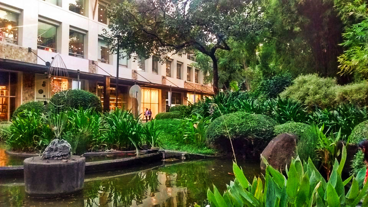 Greenbelt Makati Plants Architecture Building Exterior Built Structure Color Green Day Grass Green Color Green Plants Greenbelt Greenbelt3 Growth Leaf Mall Nature Nice Scenery No People Outdoors Plant Reflection Shopping Mall Tree Water