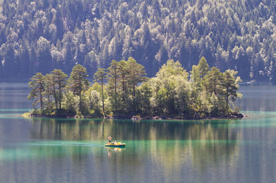 Scenic view of lake against trees in forest