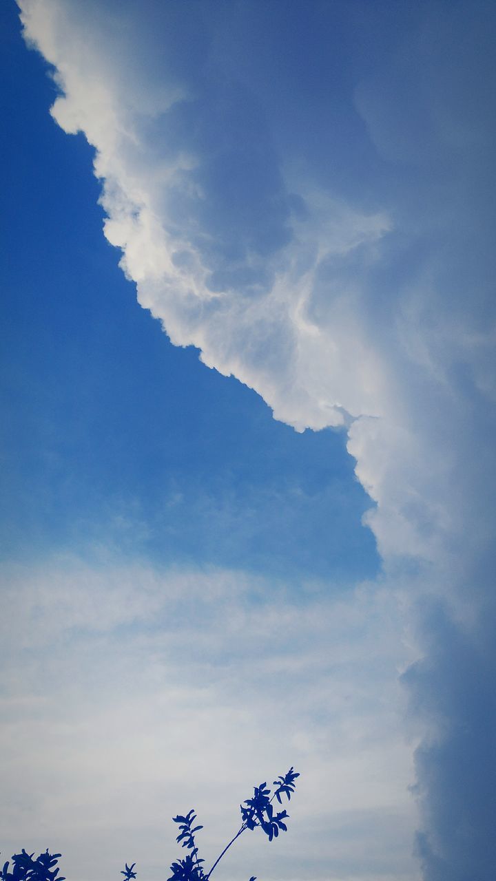 low angle view, sky, blue, cloud - sky, tranquility, beauty in nature, nature, scenics, tranquil scene, cloud, silhouette, tree, cloudy, outdoors, high section, no people, idyllic, day, growth, branch