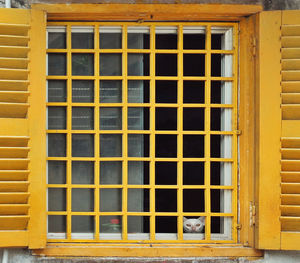 View of a window of building