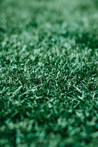 Full frame shot of grass