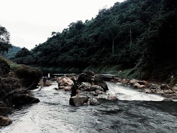 Scenic view of river flowing through rocks in forest