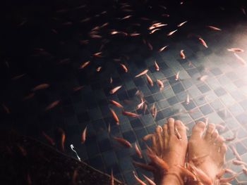 Low section of woman getting fish pedicure in pond