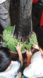 High angle view of friends holding potted plant