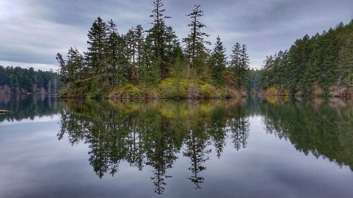 Reflection of trees in lake against sky