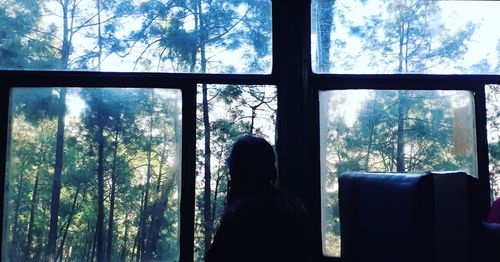 Rear view of woman looking through window