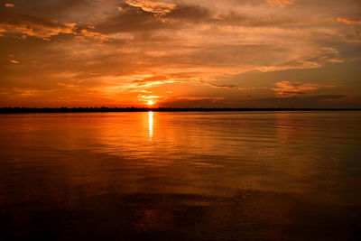 Rio negro waters and the jungle at sunset, amazon, brazil.
