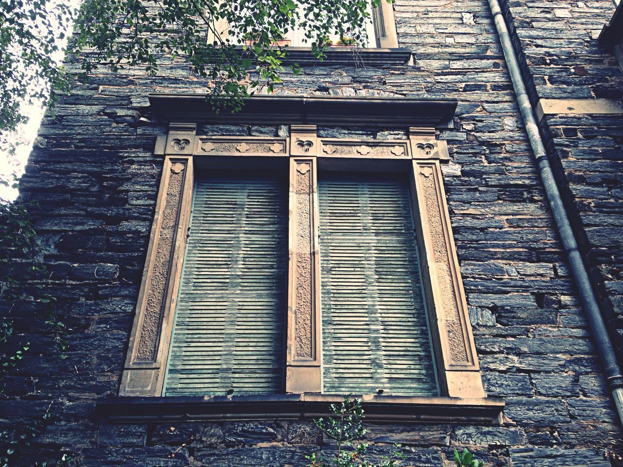 building exterior, architecture, built structure, window, house, door, closed, low angle view, brick wall, residential structure, residential building, building, old, entrance, day, outdoors, no people, ivy, wood - material, facade