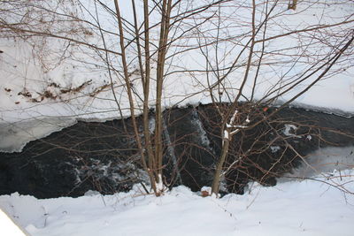 Bare trees on snow covered landscape