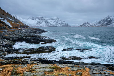 Norwegian sea waves on rocky coast of lofoten islands, norway