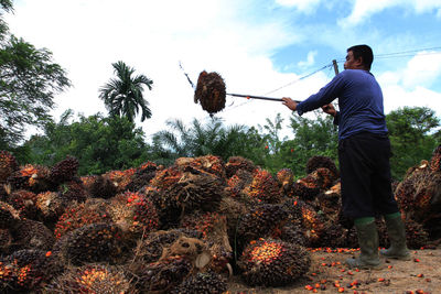 Full length of man working at farm