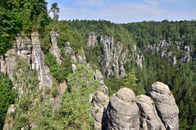 Scenic view of rock formations and trees at bastei