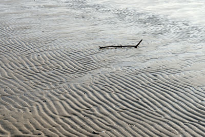 High angle view of beach