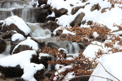 View of sheep on snow covered land