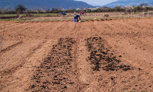 Nice and sunny day of spring sowing, plowed fields, preparation for planting vegetables