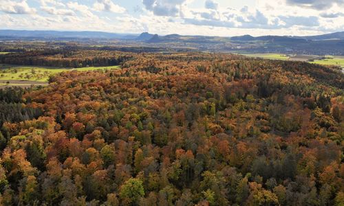 High angle view of trees on landscape against sky