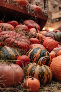 Lots of orange pumpkins in the hay. autumn decoration. october and november. the time of harvest. 