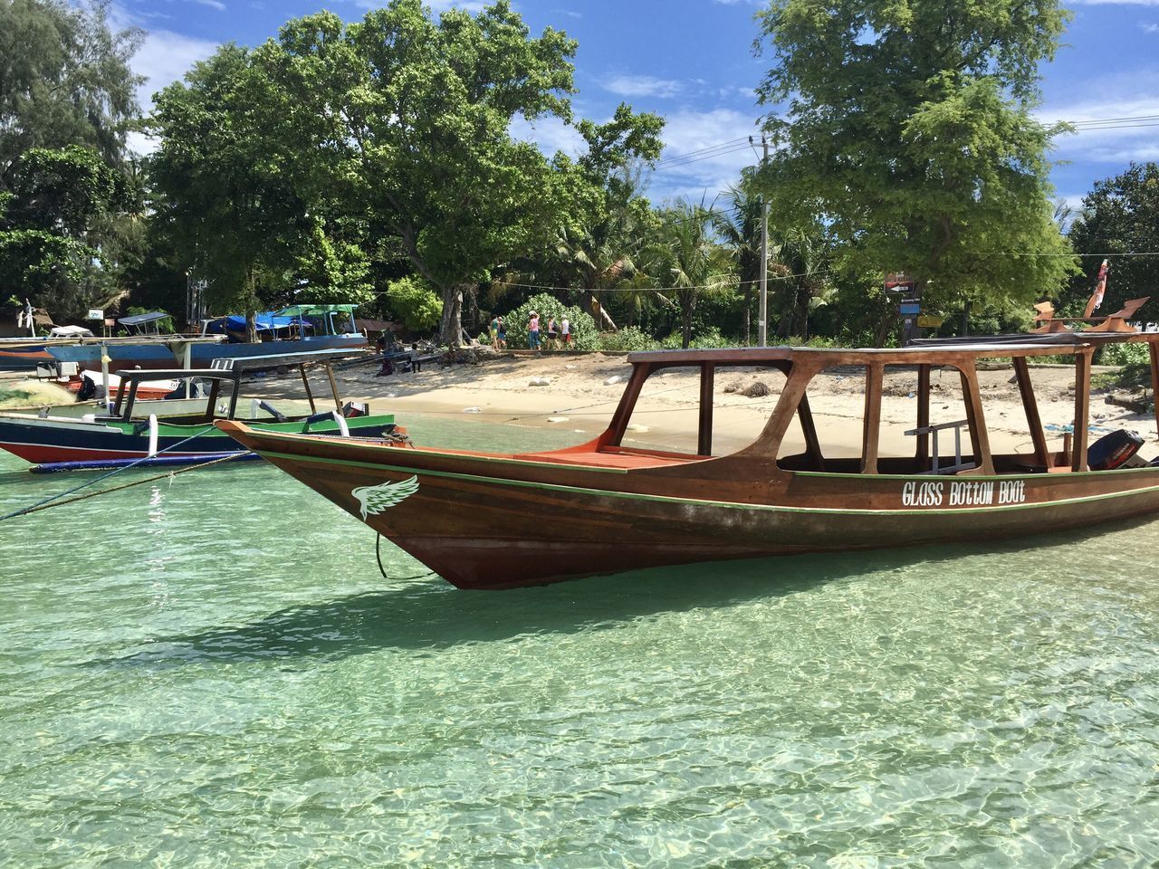 BOATS MOORED IN SEA BY TREES