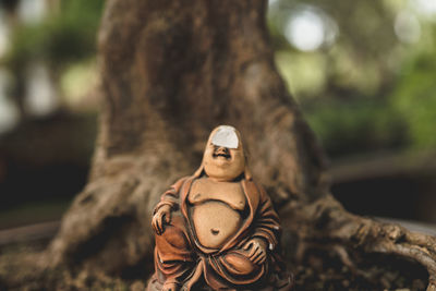 Close-up of buddha statue against tree trunk