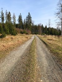 Road amidst trees against sky