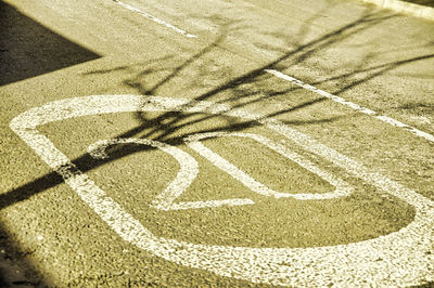 High angle view of zebra crossing on road