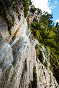 View of waterfall in forest