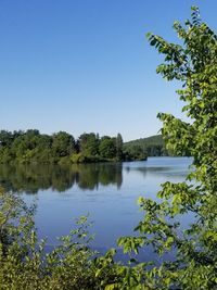 Scenic view of lake against clear blue sky