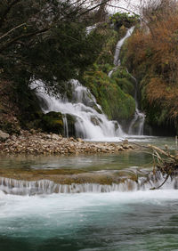 Scenic view of waterfall in forest