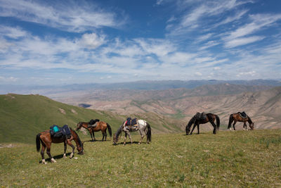 Horses on landscape against sky