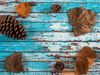 High angle view of leaves on wooden table