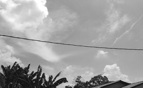 Low angle view of trees against sky