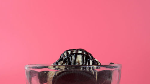 Close-up of drink against pink background