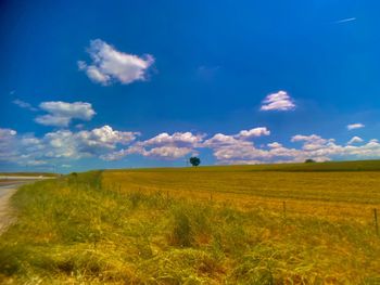Scenic view of field against sky