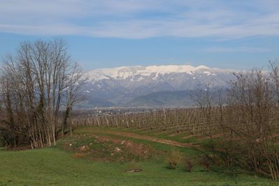 Scenic view of field against sky