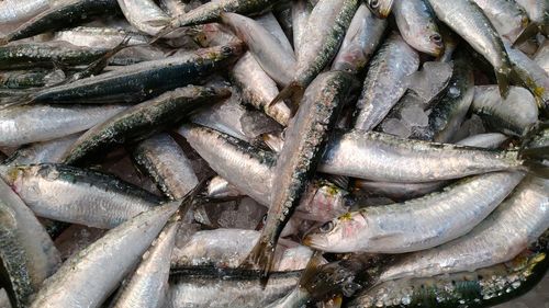 Full frame shot of fish for sale in market