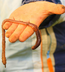 Close-up of hand feeding