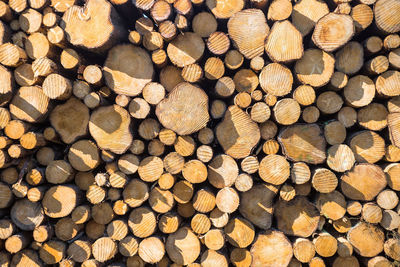 Full frame shot of logs in forest