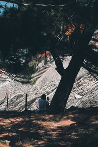 Rear view of people sitting in forest