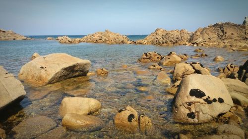 Rocks on beach against clear sky