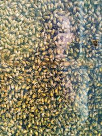 Full frame shot of white background