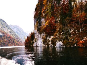 Scenic view of river in forest against clear sky