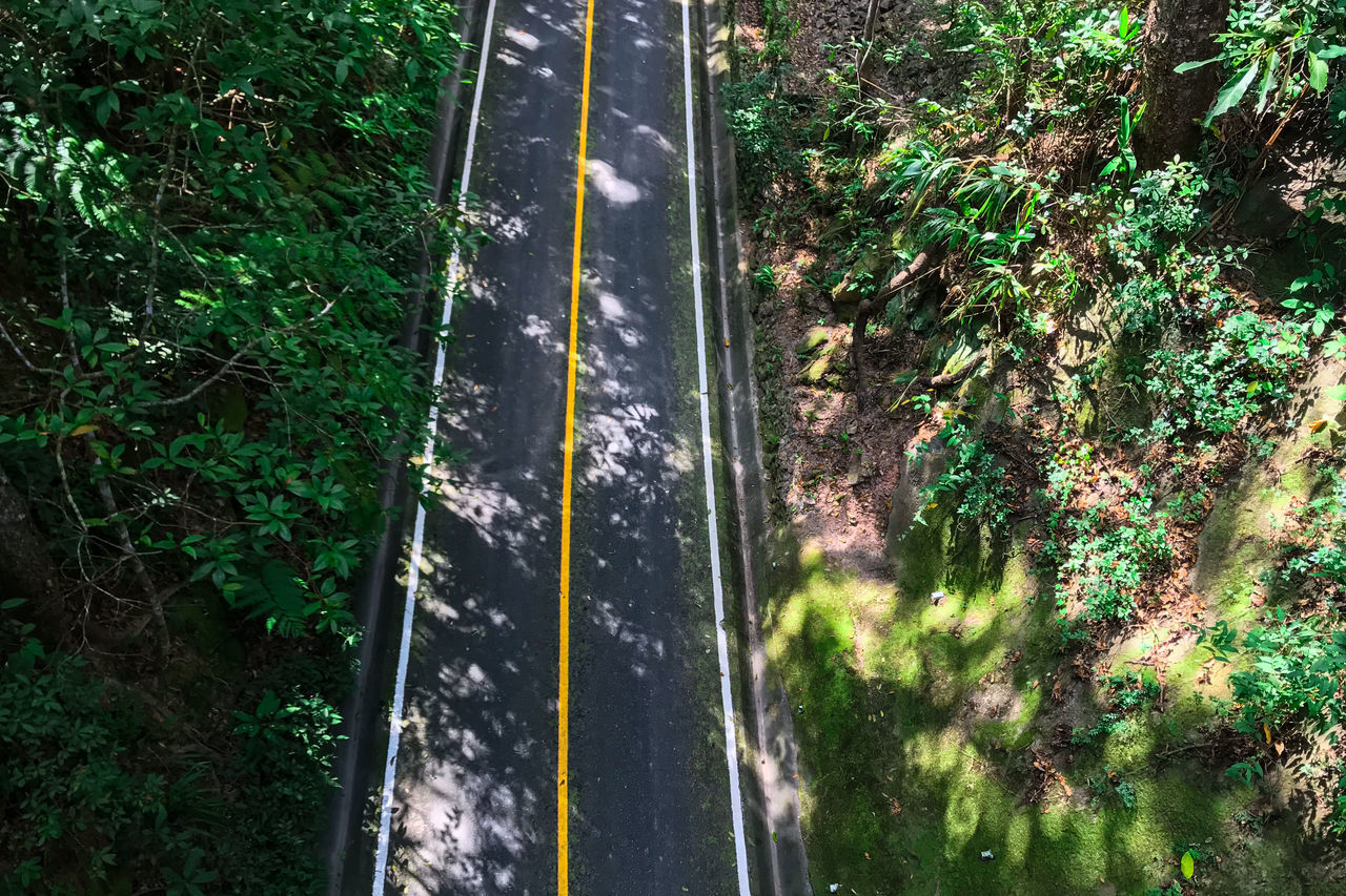 HIGH ANGLE VIEW OF TREES BY ROAD IN CITY