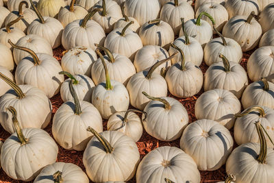 Full frame shot of vegetables for sale at market stall
